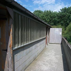 Playdale Farm Park, Scarborough, 2nd August 2013