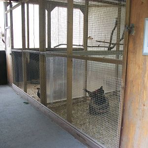 Playdale Farm Park, Scarborough, 2nd August 2013