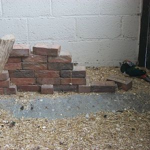 Playdale Farm Park, Scarborough, 2nd August 2013