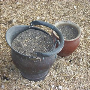 Playdale Farm Park, Scarborough, 2nd August 2013