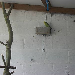 Playdale Farm Park, Scarborough, 2nd August 2013