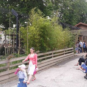 Andean bear enclosure