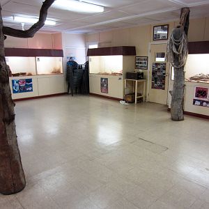 Reptile Room