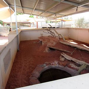 Perentie enclosure