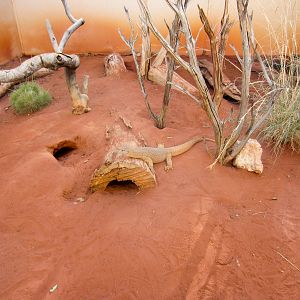Sand Monitor enclosure