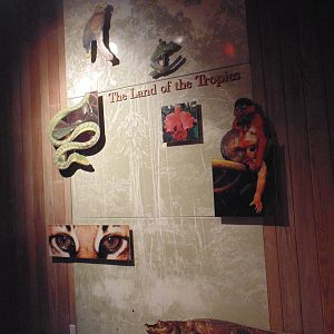 Inside Tropics Building