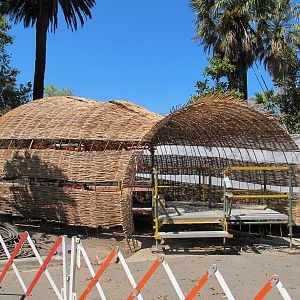 Lemur Island Construction - Melbourne Zoo November 2013