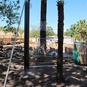 Lemur Island Construction - Melbourne Zoo November 2013