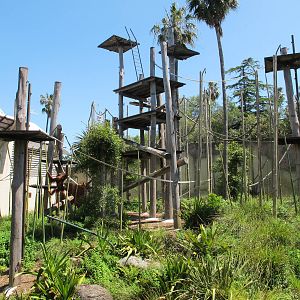 Orang-Utan Enclosure - Melbourne Zoo November 2013