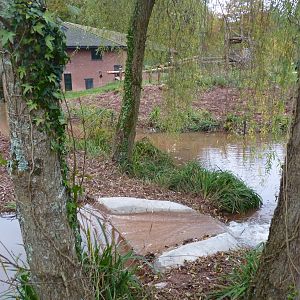 Maintenance Update, 17 November 2013