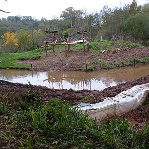 Maintenance Update, 17 November 2013