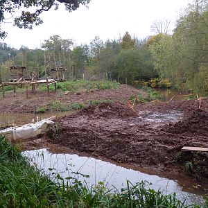 Maintenance Update, 17 November 2013