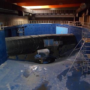 Africarium - skark's tank