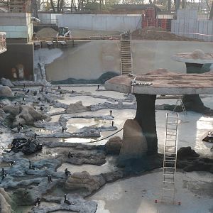 Africarium - african penguin's pool