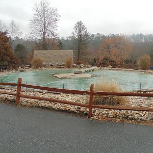 African Penguin Exhibit