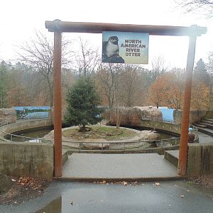 River Otter Exhibit
