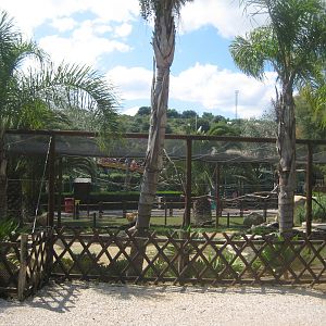 Zoomarine - Aviaries