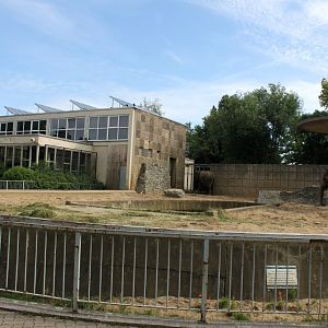 Magdeburg Zoo - Pachyderm House (Elephant)
