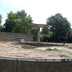 Magdeburg Zoo - Pachyderm House (Elephant)