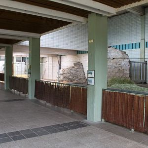 Magdeburg Zoo - Pachyderm House