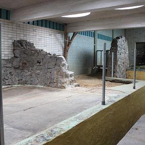 Magdeburg Zoo - Pachyderm House (Elephant)