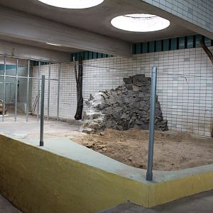 Magdeburg Zoo - Pachyderm House (Rhino/elephant)