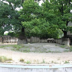 Magdeburg Zoo - Pachyderm House (Rhino)