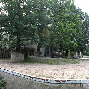 Magdeburg Zoo - Pachyderm House (Rhino)