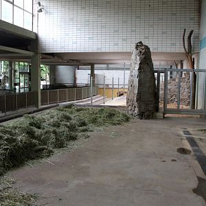 Magdeburg Zoo - Pachyderm House (Backstage)