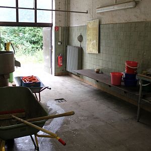 Magdeburg Zoo - Pachyderm House (Backstage)