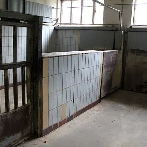 Magdeburg Zoo - Pachyderm House (Backstage)