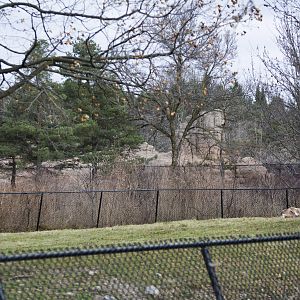 Eurasia Development 2