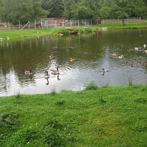 Hobro Mini Zoo - Central lake