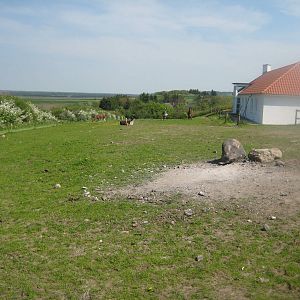 Hjortdal Dyrefarm - Llama exhibit