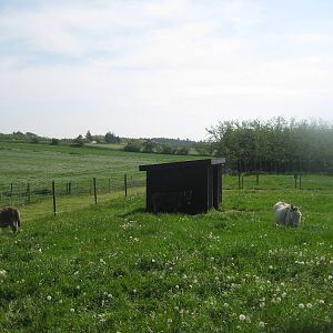 Hjortdal Dyrefarm - Donkey exhibit