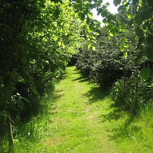 Hjortdal Dyrefarm - Bird Forest