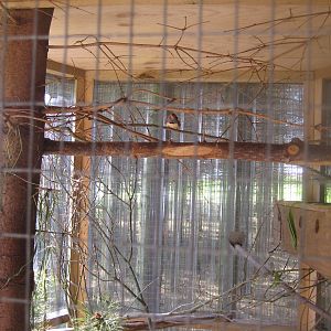 Hjortdal Dyrefarm - Finch aviary