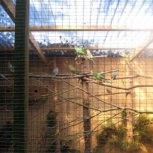 Hjortdal Dyrefarm - Parrot aviary