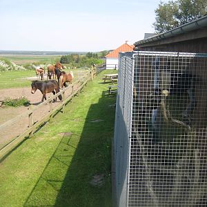 Hjortdal Dyrefarm - General view