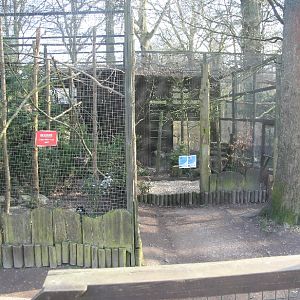 Raven / Magpie / Red squirrel aviaries