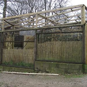Aviaries