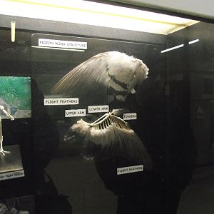 Education Centre Display