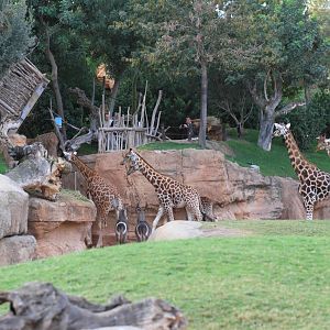 19th November, 5.30pm