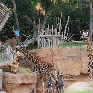 19th November, 5.30pm