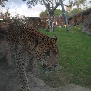 19th November, 5.30pm