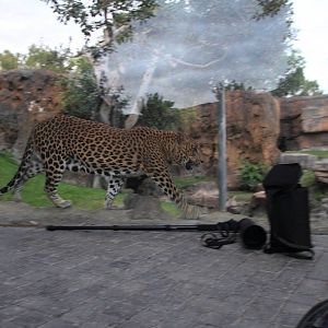 19th November, 5.30pm