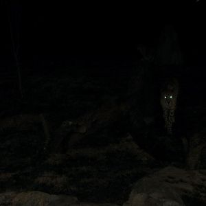 Approaching Through the Darkness