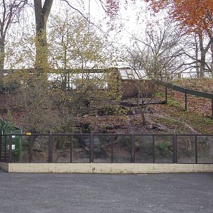 Oriental Short-Clawed Otter Enclosure