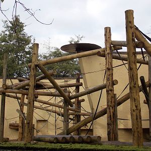 Orang outdoor area (side view)