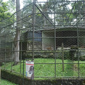 Appalling jaguar exhibit